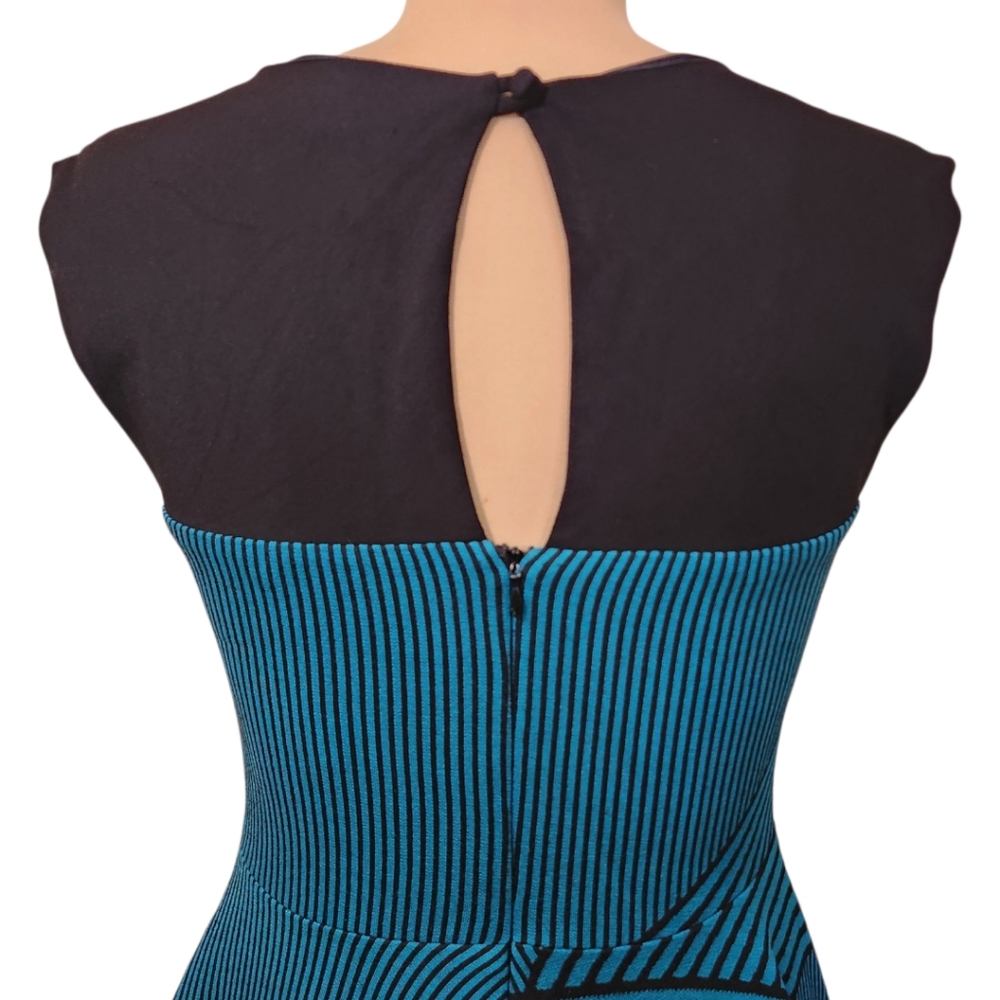 ANTHROPOLOGIE x EVA FRANCO Teal & Black Striped Swing Dress - Size 10 - Picture 9 of 14